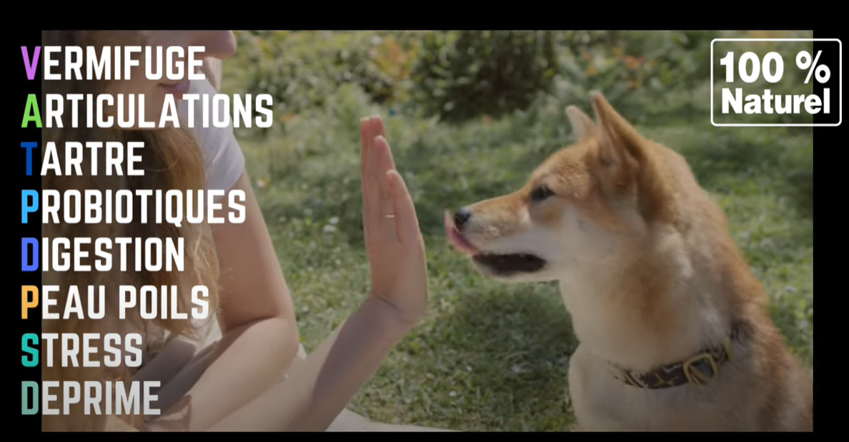 Charger la vidéo : Néovéto, compléments alimentaires pour chiens et chats