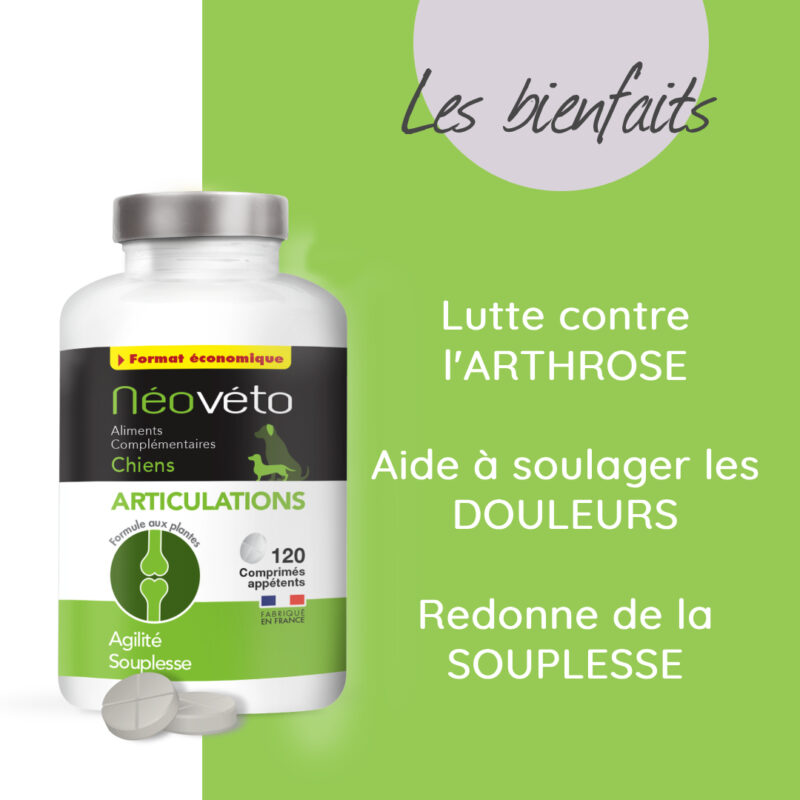 Complément alimentaire arthrose chien naturel