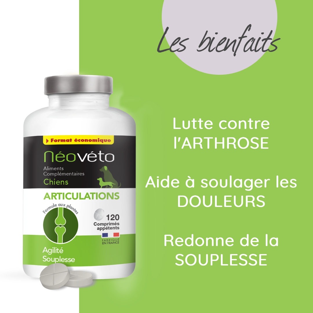 Complément alimentaire arthrose chien naturel