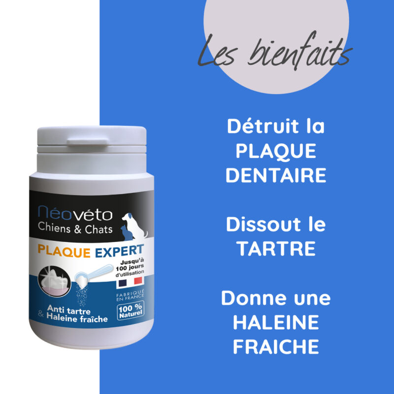 Bienfaits Néovéto PLAQUE EXPERT détartrage chien