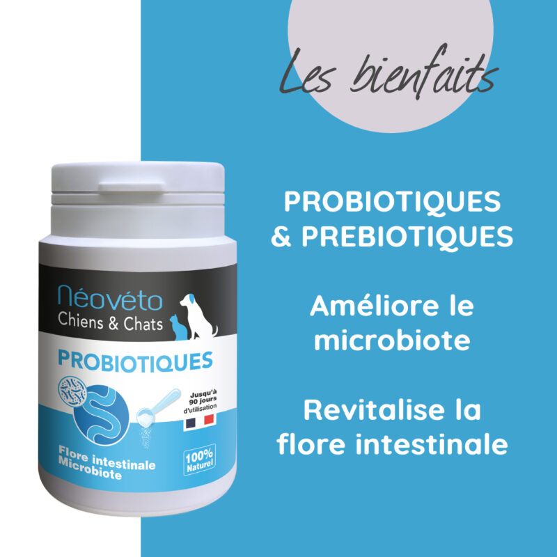 Probiotiques chien naturel