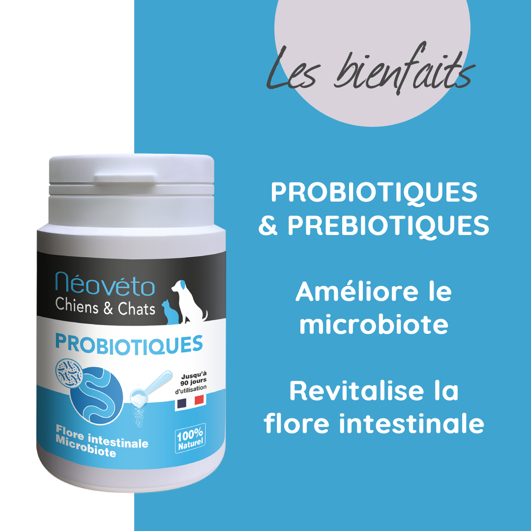 Probiotiques chien naturel