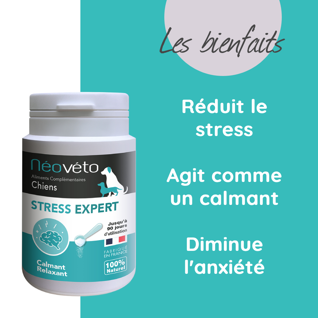 Anti-stress naturel pour chien