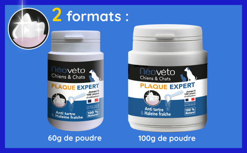 Formats différentes tartre chien