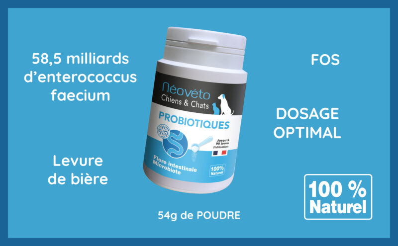 Probiotique pour chien