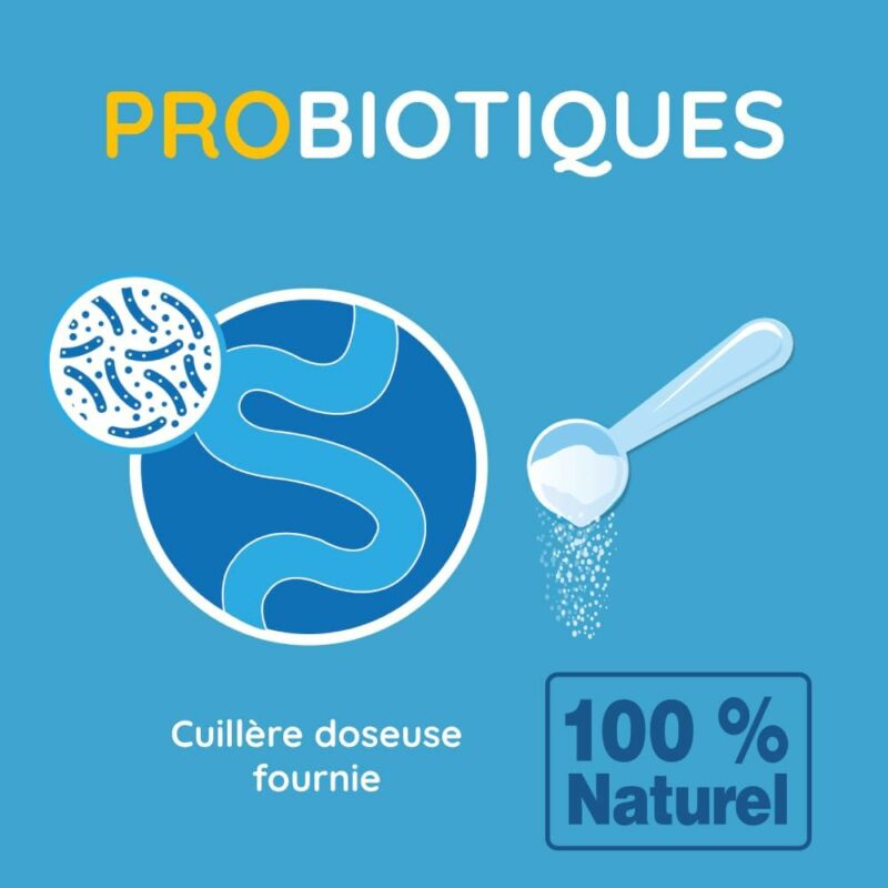 probiotique naturel pour chien