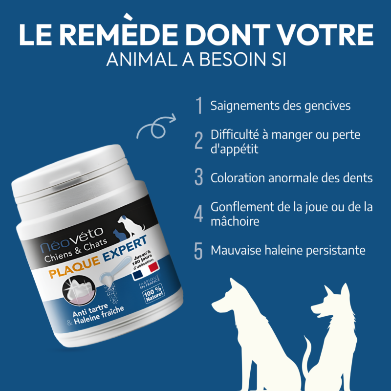 Vendre Néovéto Plaque Expert, complément alimentaire anti tartre, plaque dentaire pour les chiens