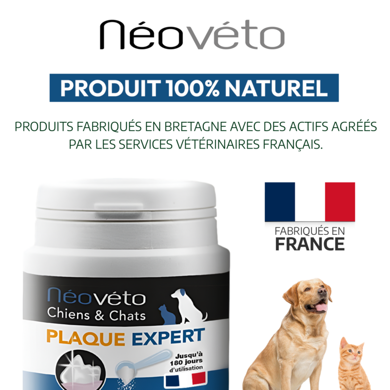 Vendre Néovéto Plaque Expert, complément alimentaire anti tartre, plaque dentaire pour les chiens