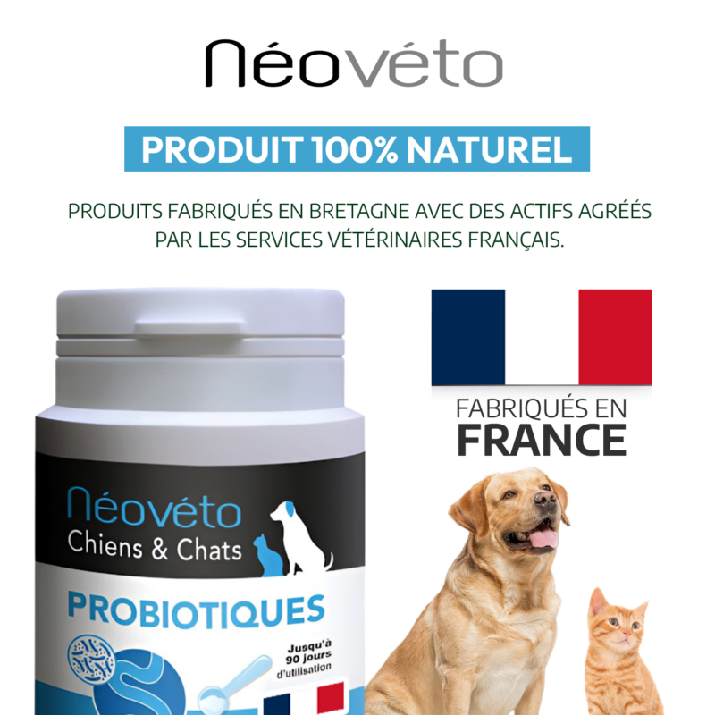 Vendre Néovéto Probiotiques, complément alimentaire à base de probiotiques pour les chiens