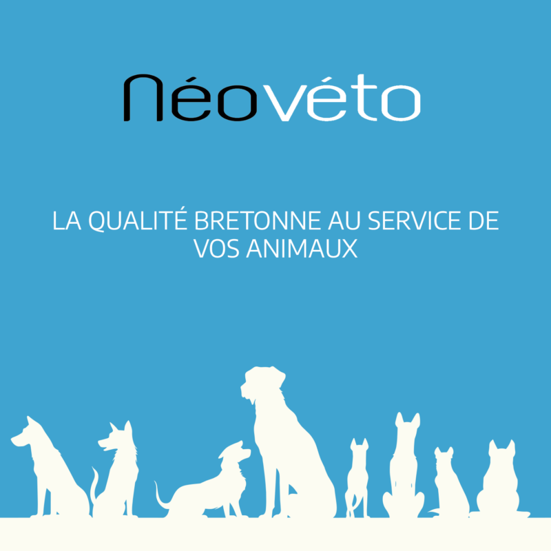 Vendre Néovéto Probiotiques, complément alimentaire à base de probiotiques pour les chiens