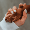 Comment savoir si mon chien est constipé
