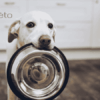 Meilleure nourriture pour chien à estomac sensible