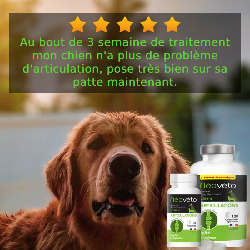 Néovéto compléments alimentaires naturels pour chiens