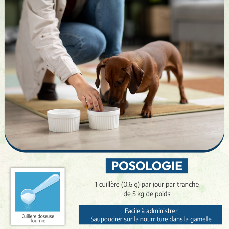 Vendre Néovéto Plaque Expert, complément alimentaire anti tartre, plaque dentaire pour les chiens