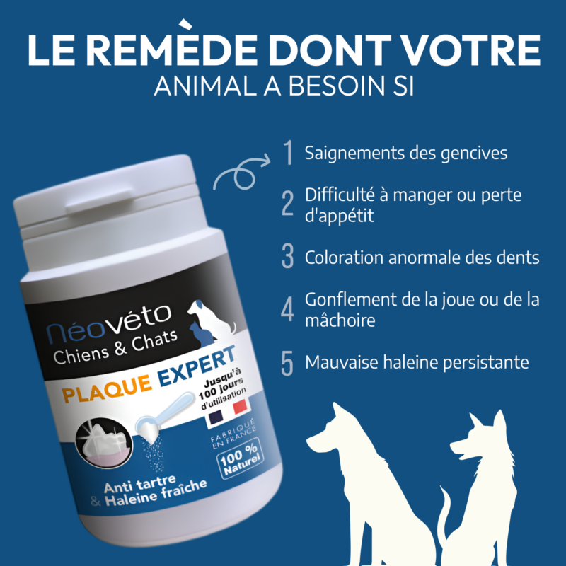 Vendre Néovéto Plaque Expert, complément alimentaire anti tartre, plaque dentaire pour les chiens