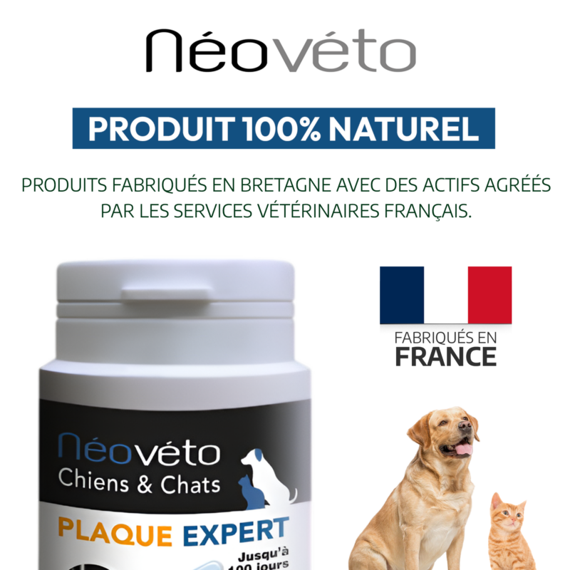 Vendre Néovéto Plaque Expert, complément alimentaire anti tartre, plaque dentaire pour les chiens