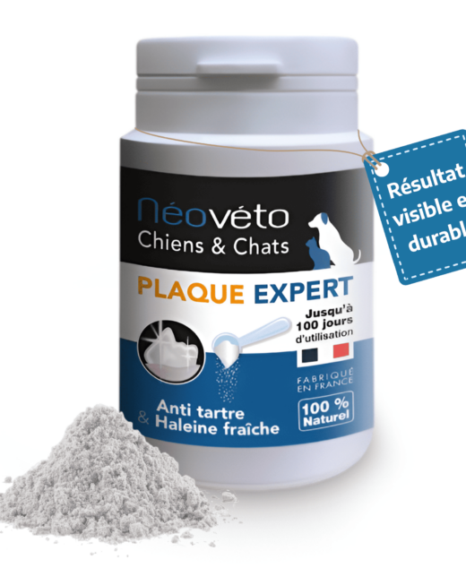 Vendre Néovéto Plaque Expert, anti tartre, plaque dentaire pour les chiens