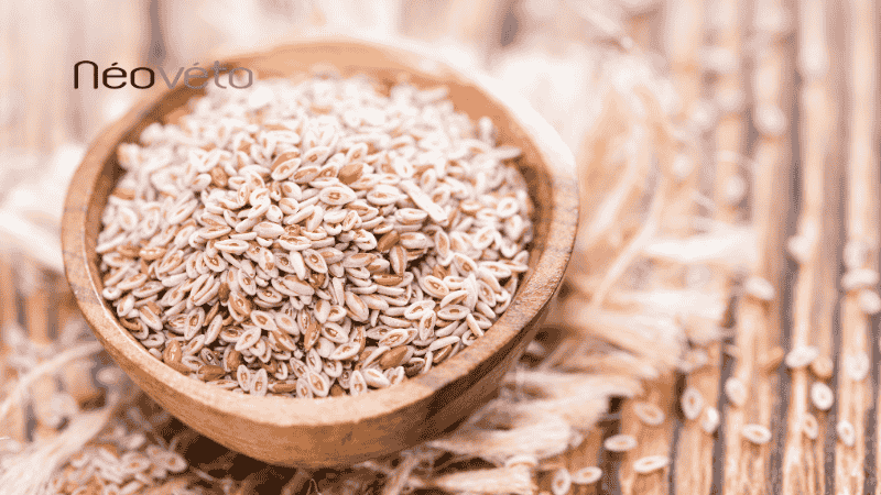 psyllium chien bienfaits