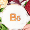 vitamine B5 chien bienfaits