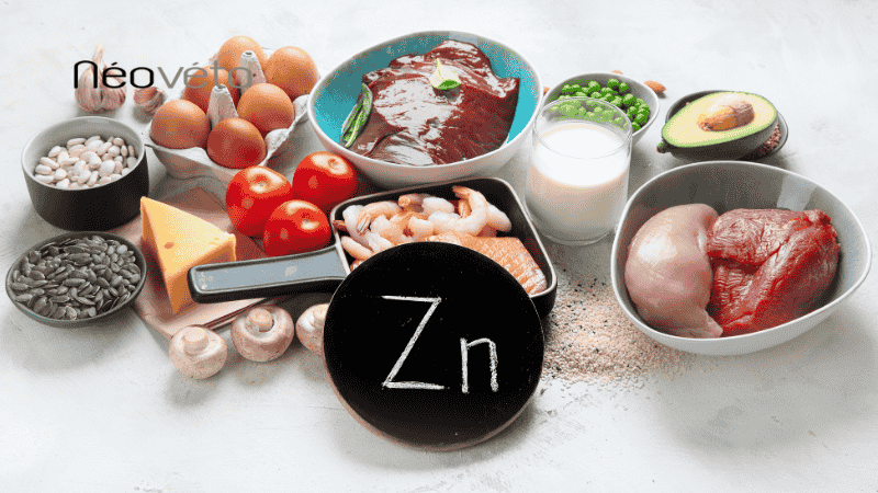 zinc chien bienfaits